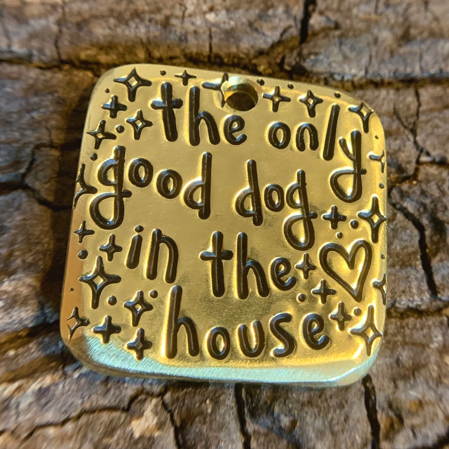 1.25" brass - only good dog