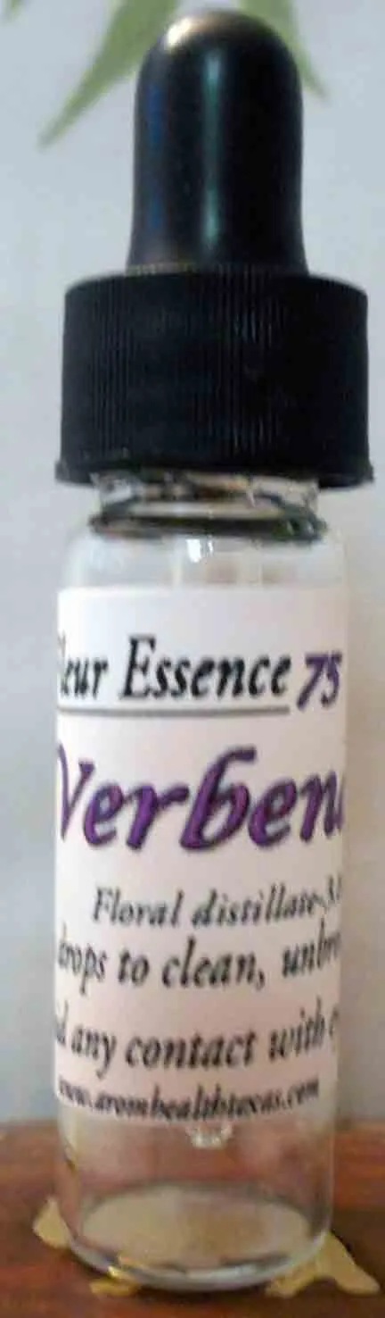 Verbena, Texas Homestead,Verbenacea hortensis, Flower Essence